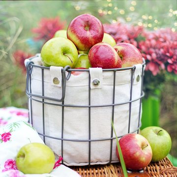 Basket of fresh red and green apples in a garden